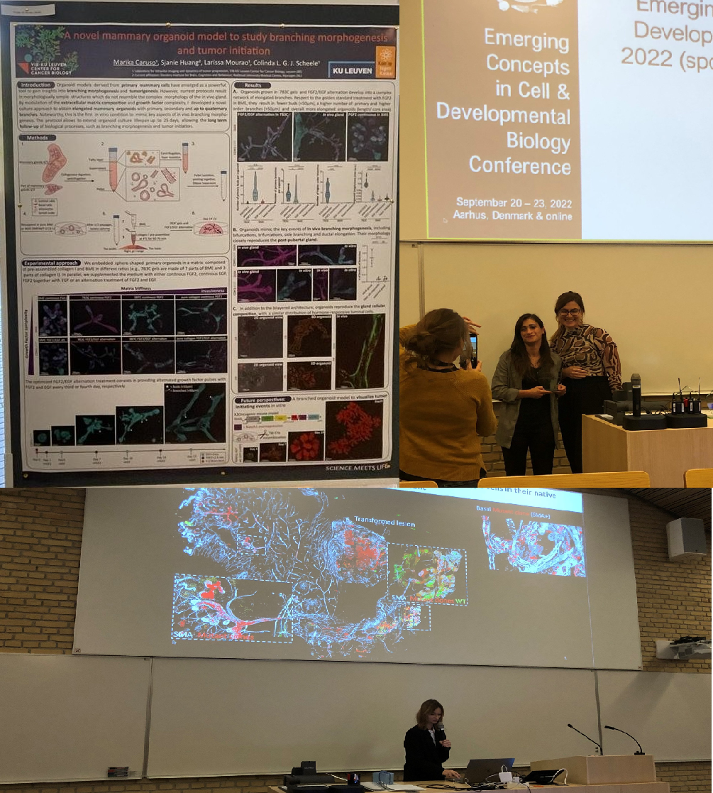 Emerging Concepts in Cell &Developmental Biology Conference